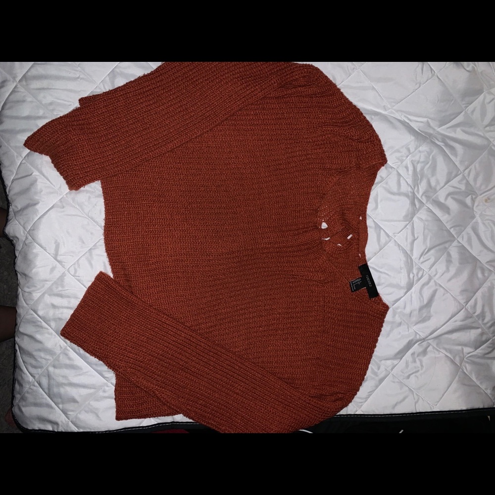 Forever 21 Cropped rust sweater